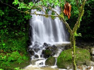Costa Rica Waterfalls