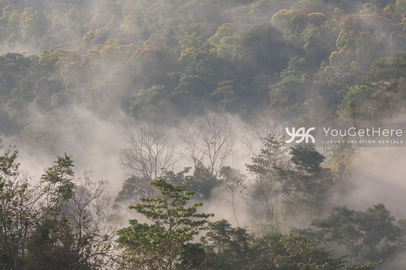 Stunning view of rainforest as morning fog rises around the jungle canopy at Villa Koora.