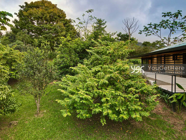 Landscaping surrounding deck at Villa Dalu Costa Rica vacation villa.