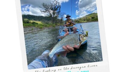 Stress-free Planning of Tours, Adventures and Activities