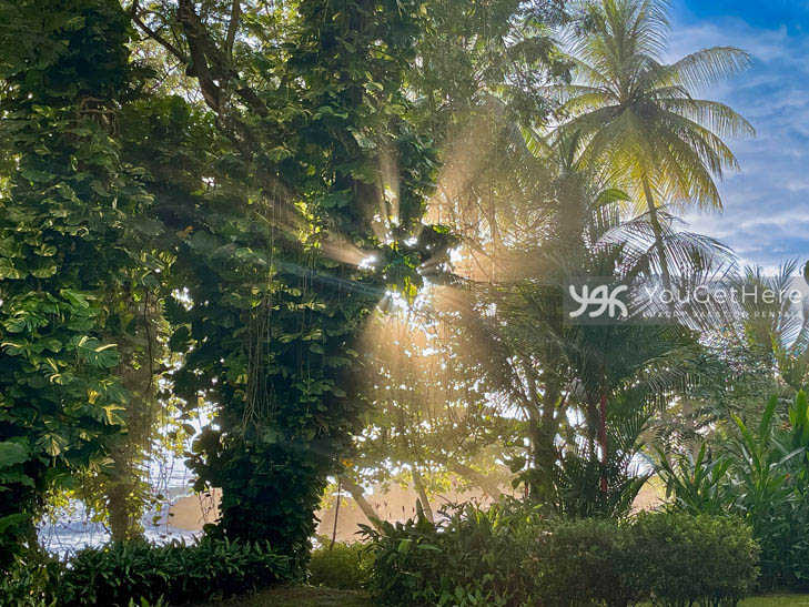 Caballitos del Mar Complex is surrounded by lush jungle plants and wildlife.