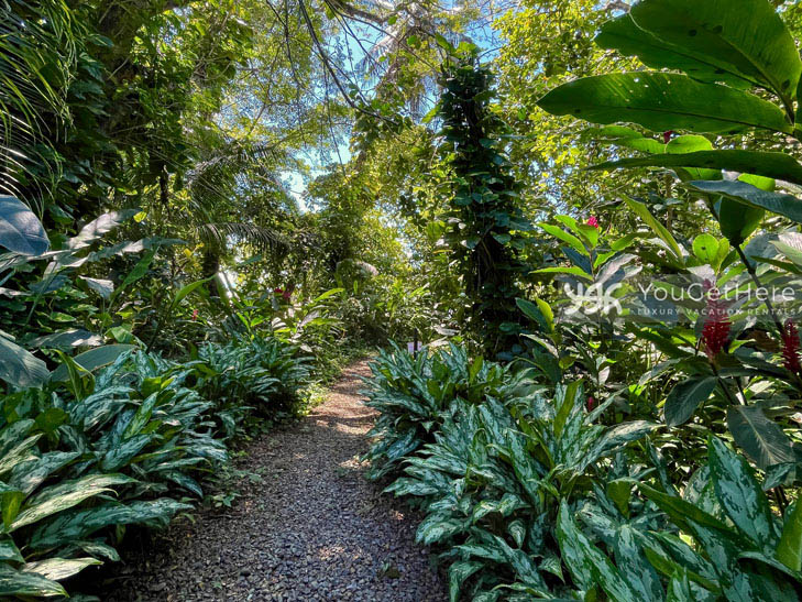 The jungle meets the beach at Caballitos del Mar Complex in Costa Rica.