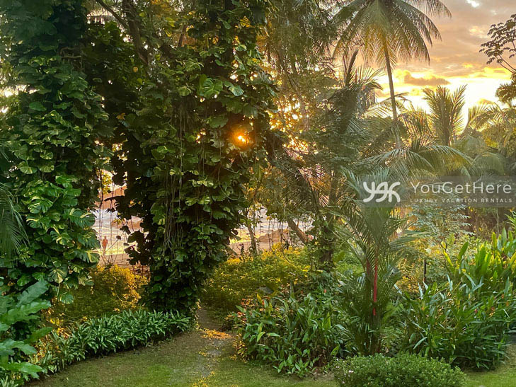 Sunset sky through the trees lining the beach at Caballitos del Mar Complex in Costa Rica.