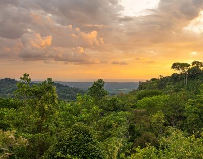 Villa Montemar Coming Soon!