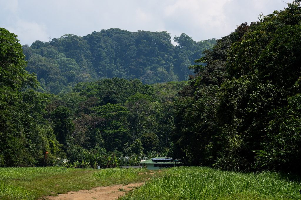 Corcovado National Park Costa Rica