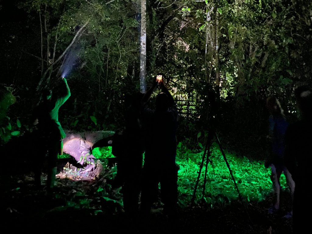 Night Hike at Hacienda Baru Costa Rica
